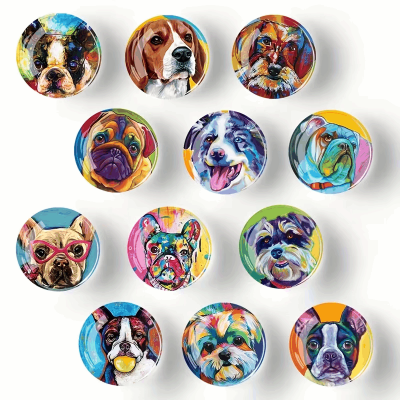 Pack Cocina Perruna