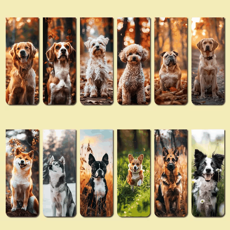 Pack Estudio Perruno