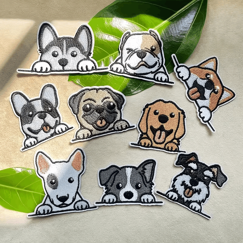 Pack Accesorios Perrunos